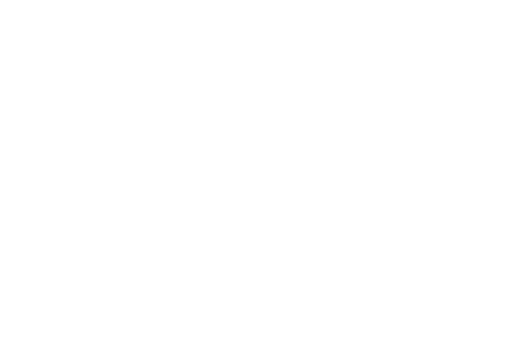 CAR SALES & MAINTENANCE A.M.S Inc.